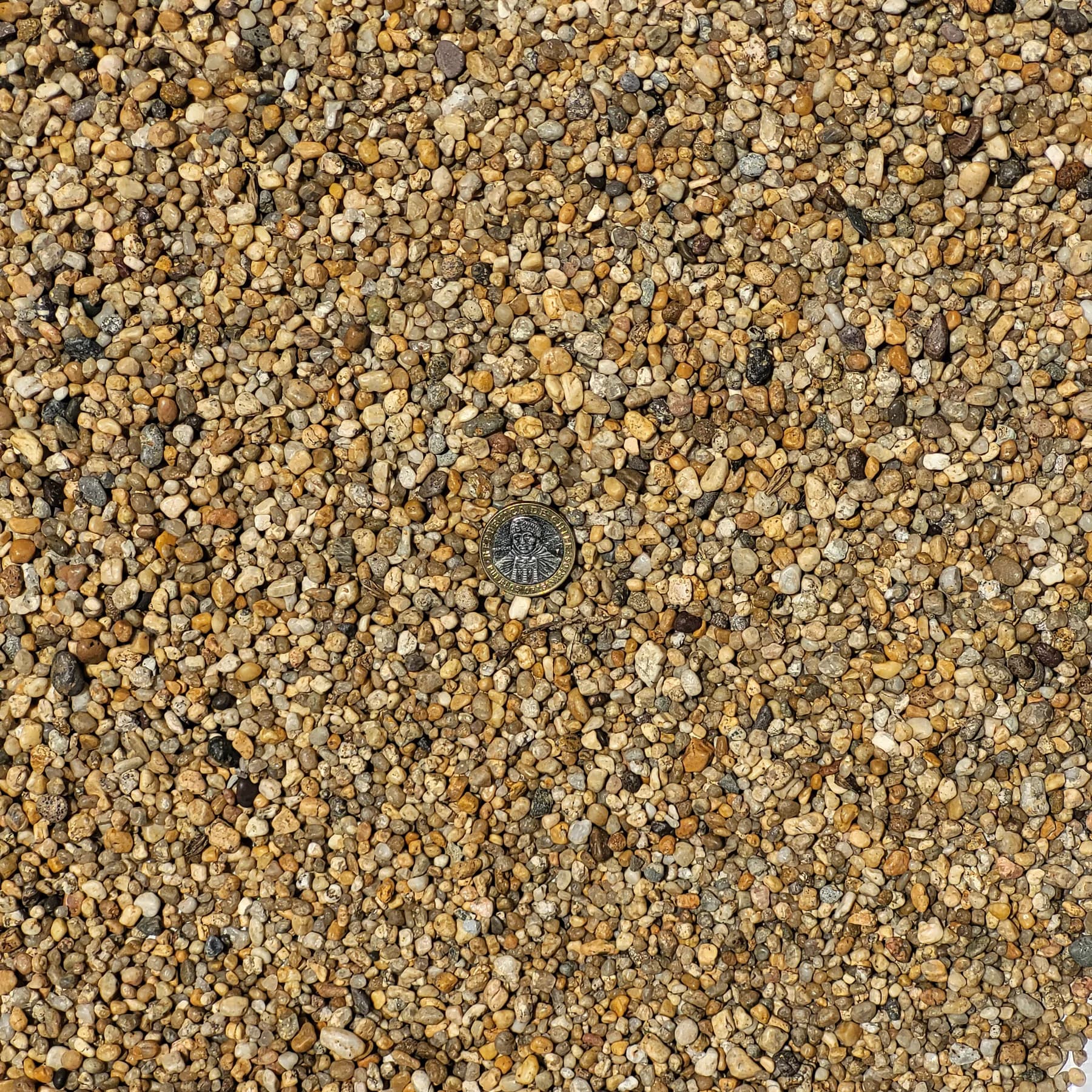 Piedra Playa Fulget, Calibre más fino
