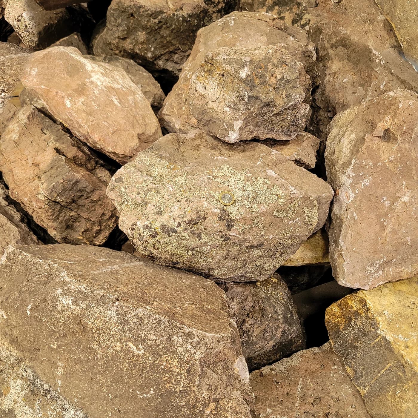 Rocas musgo naturales como referencia visual del material
